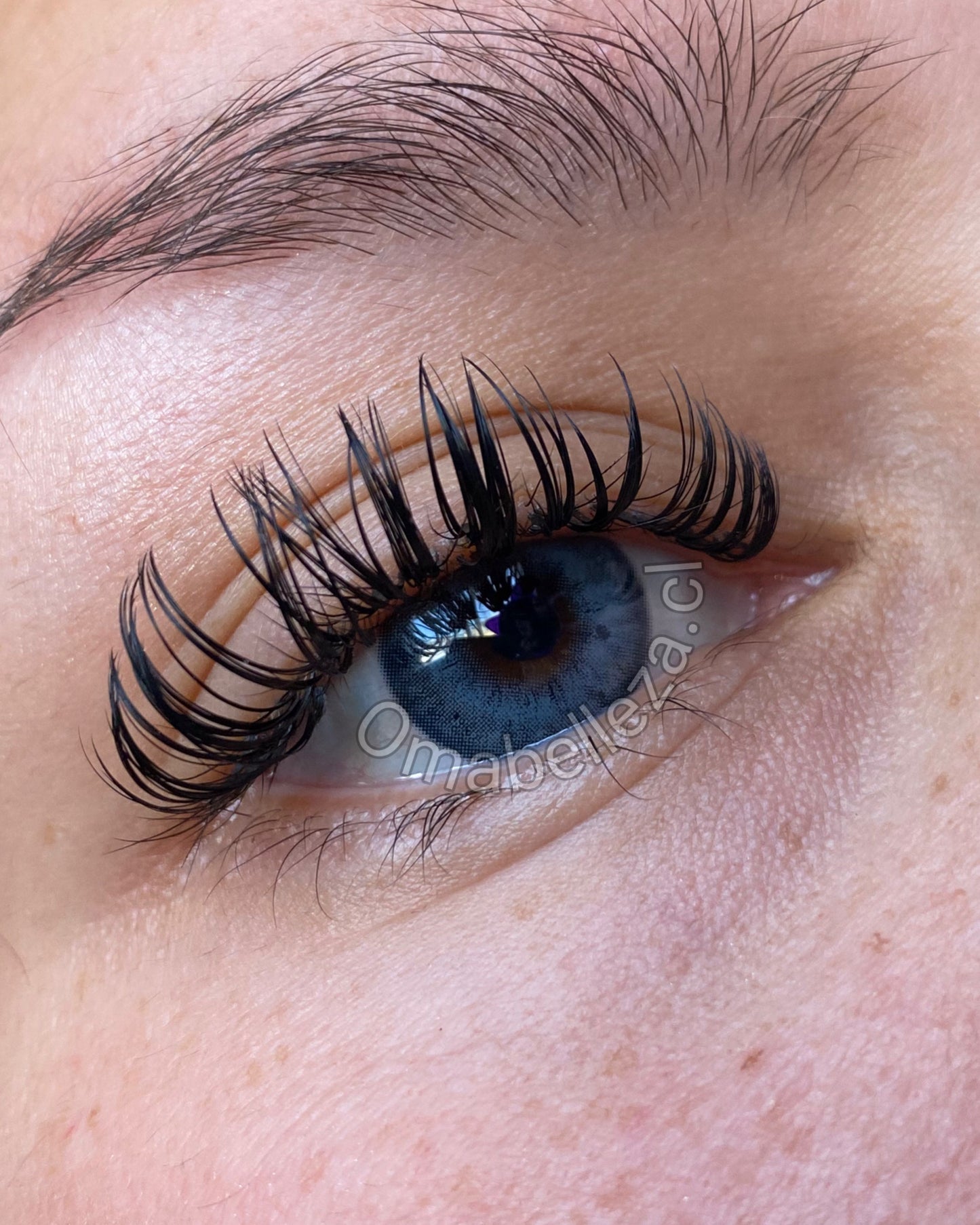 Stunna Girl Chole (Blue) tricolor - Freshlady