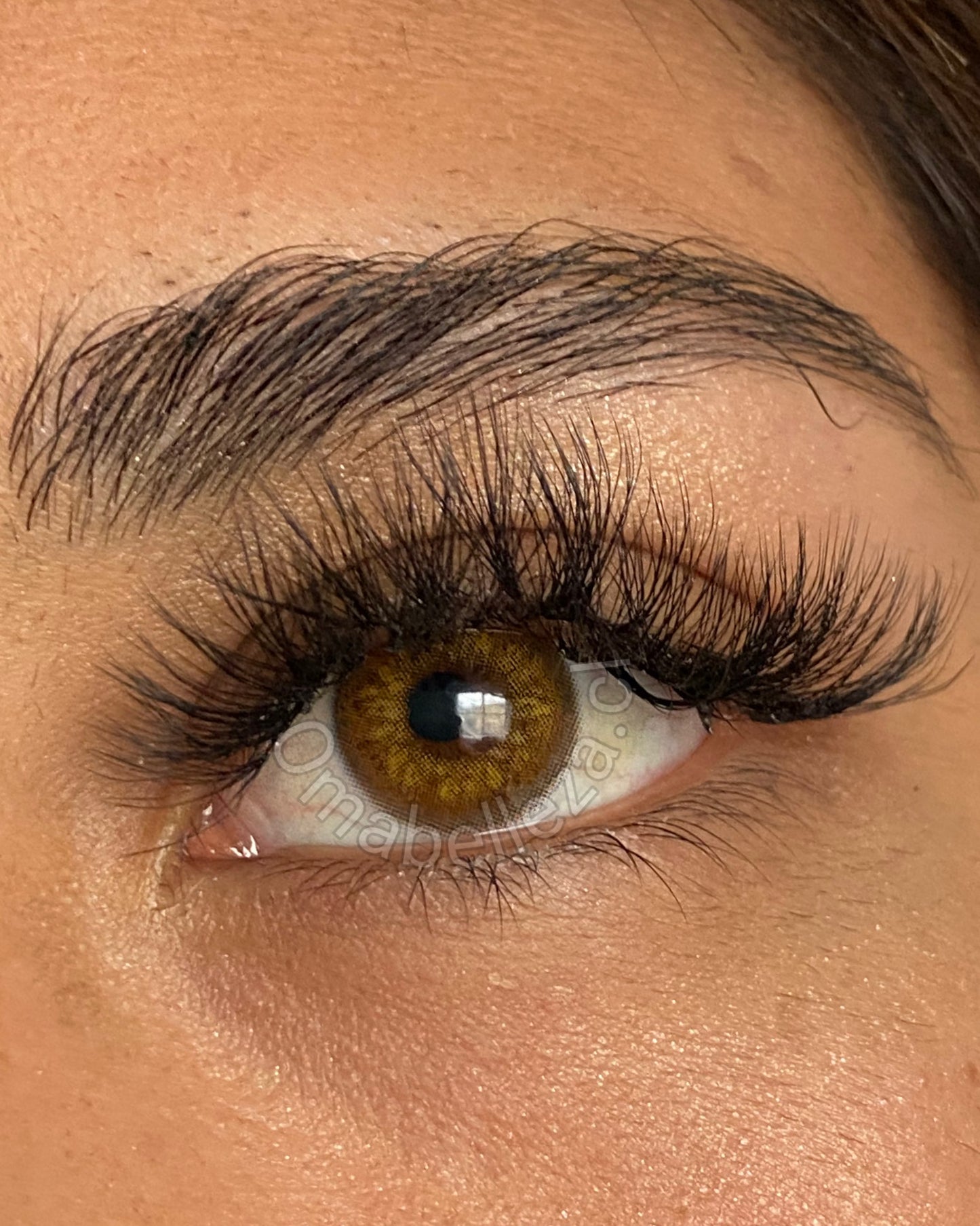 Russian Brown - Freshlady