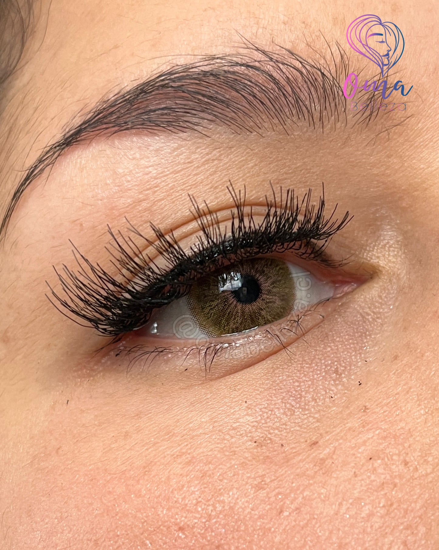 Melrose brown- Urban Layer