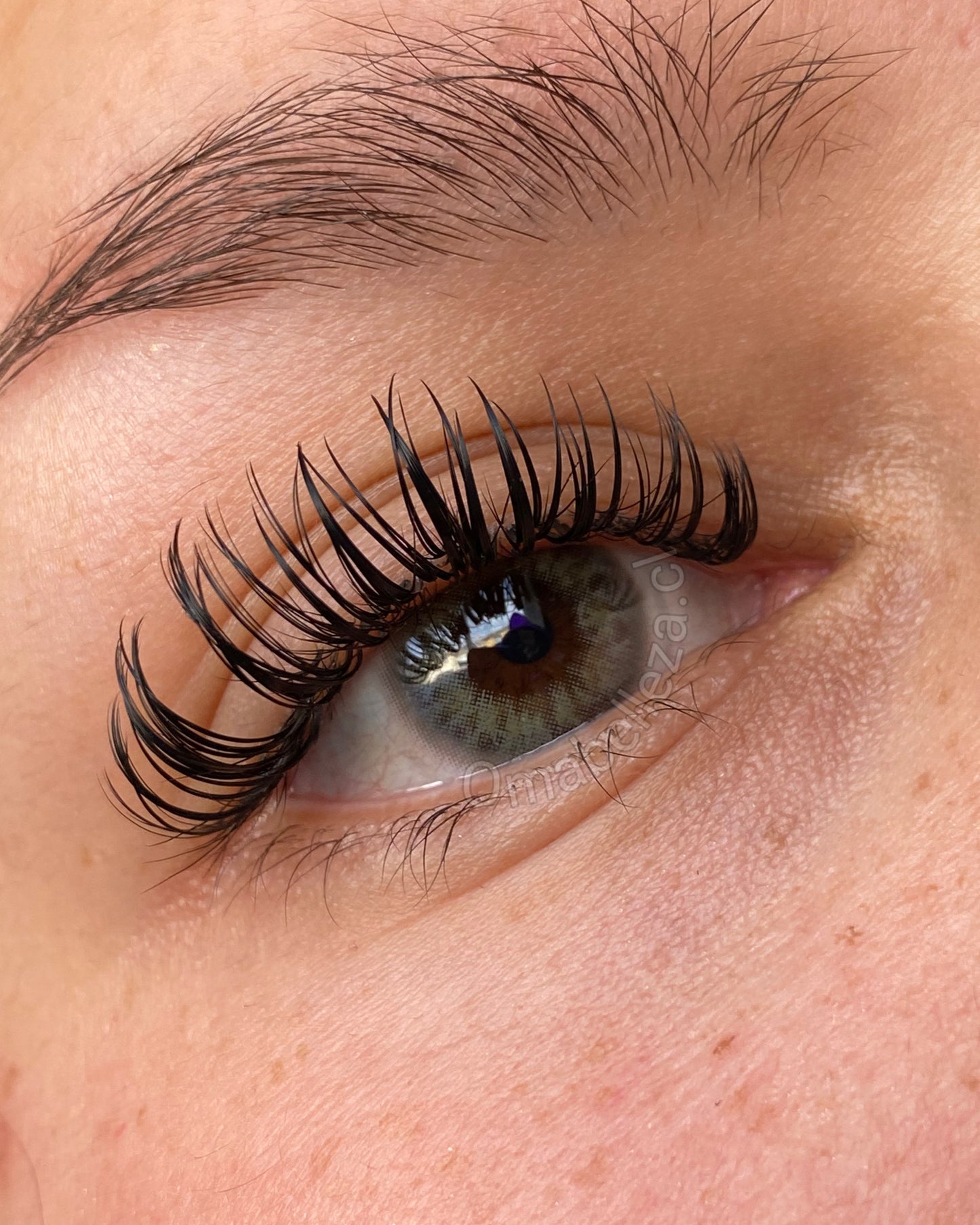 Dna Taylor Green Gray (tricolor) - Freshlady