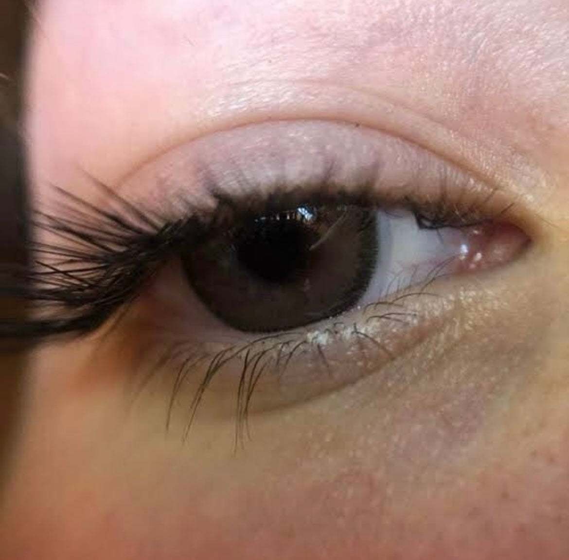 Cloud R Choco - Urban Layer