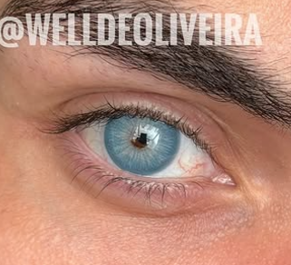 Chelsea Blue- Urban Layer