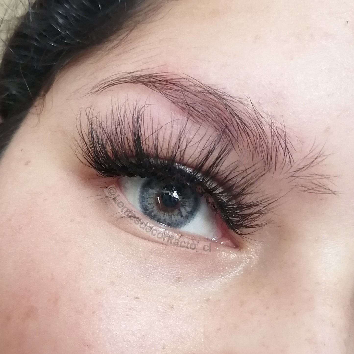 Dna Taylor Blue Gray (tricolor) - Freshlady