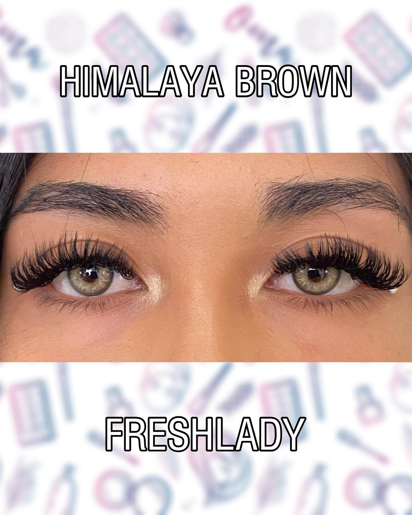 Himalaya Brown - Freshlady