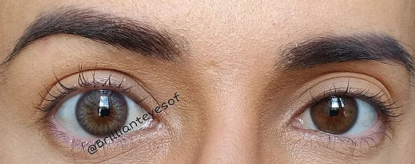 Havana Gray - Urban Layer