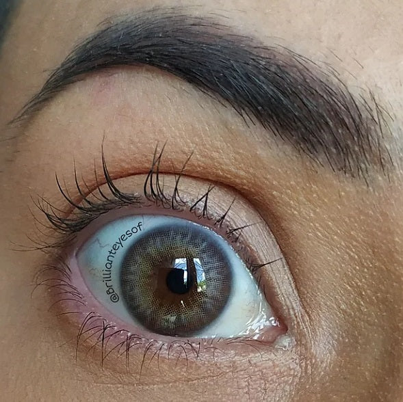 Havana Gray - Urban Layer