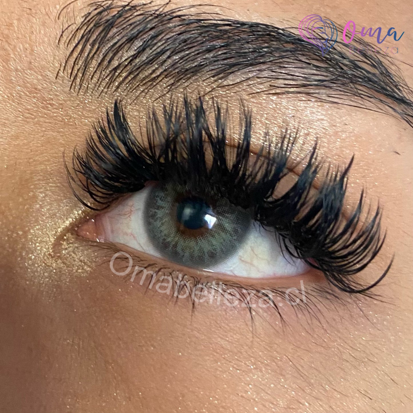 Dna Taylor Green Gray (tricolor) - Freshlady