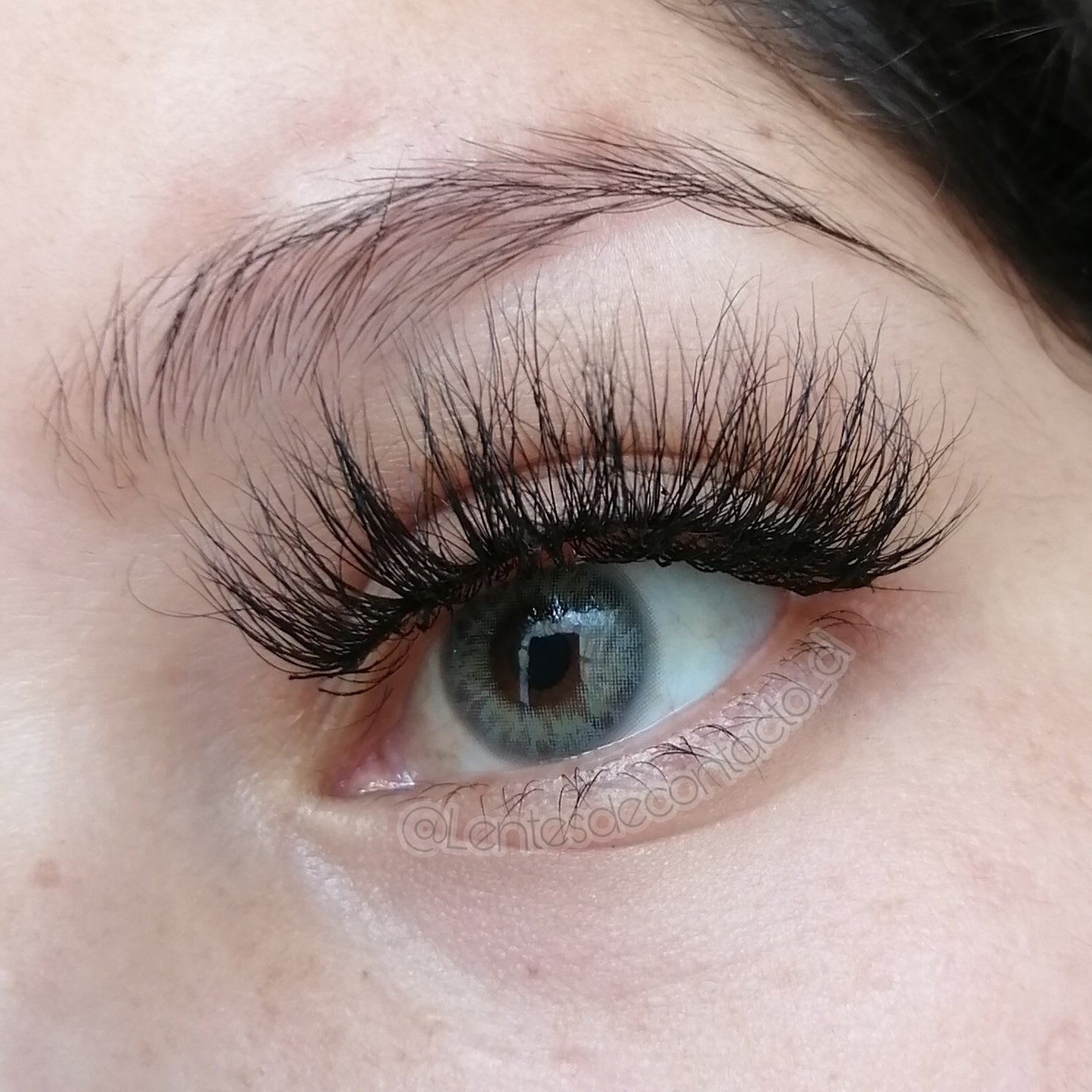 Dna Taylor Green Gray (tricolor) - Freshlady