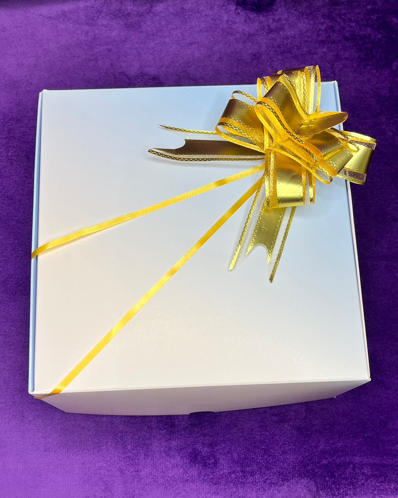 Box Lenses Freshlady