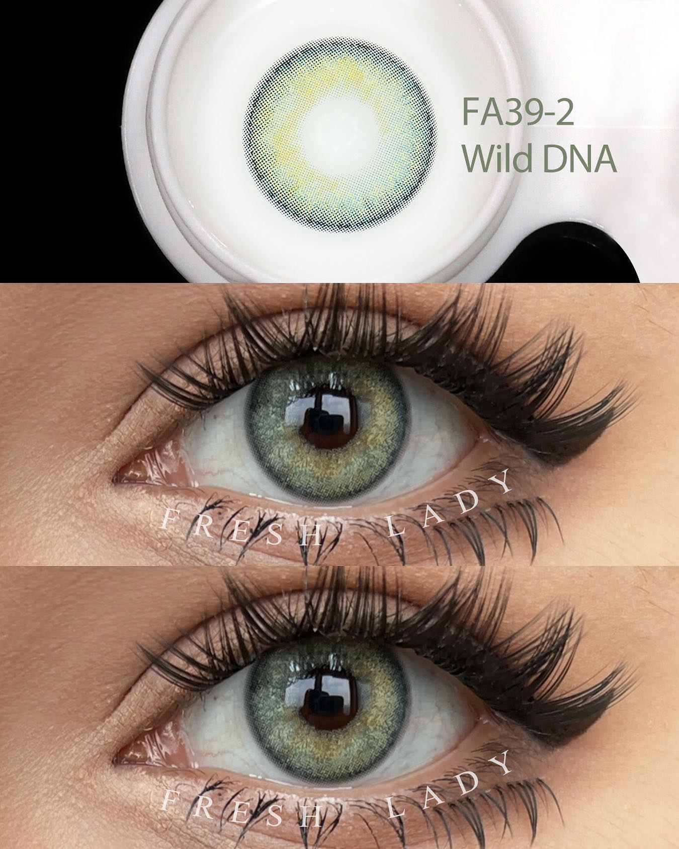 Wild Dna - Freshlady