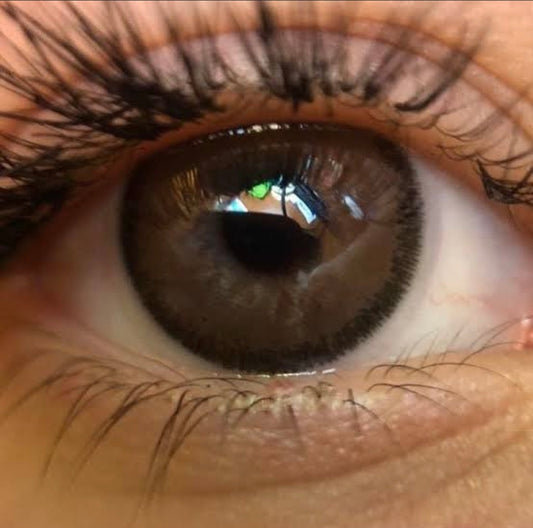 Cloud R Choco - Urban Layer