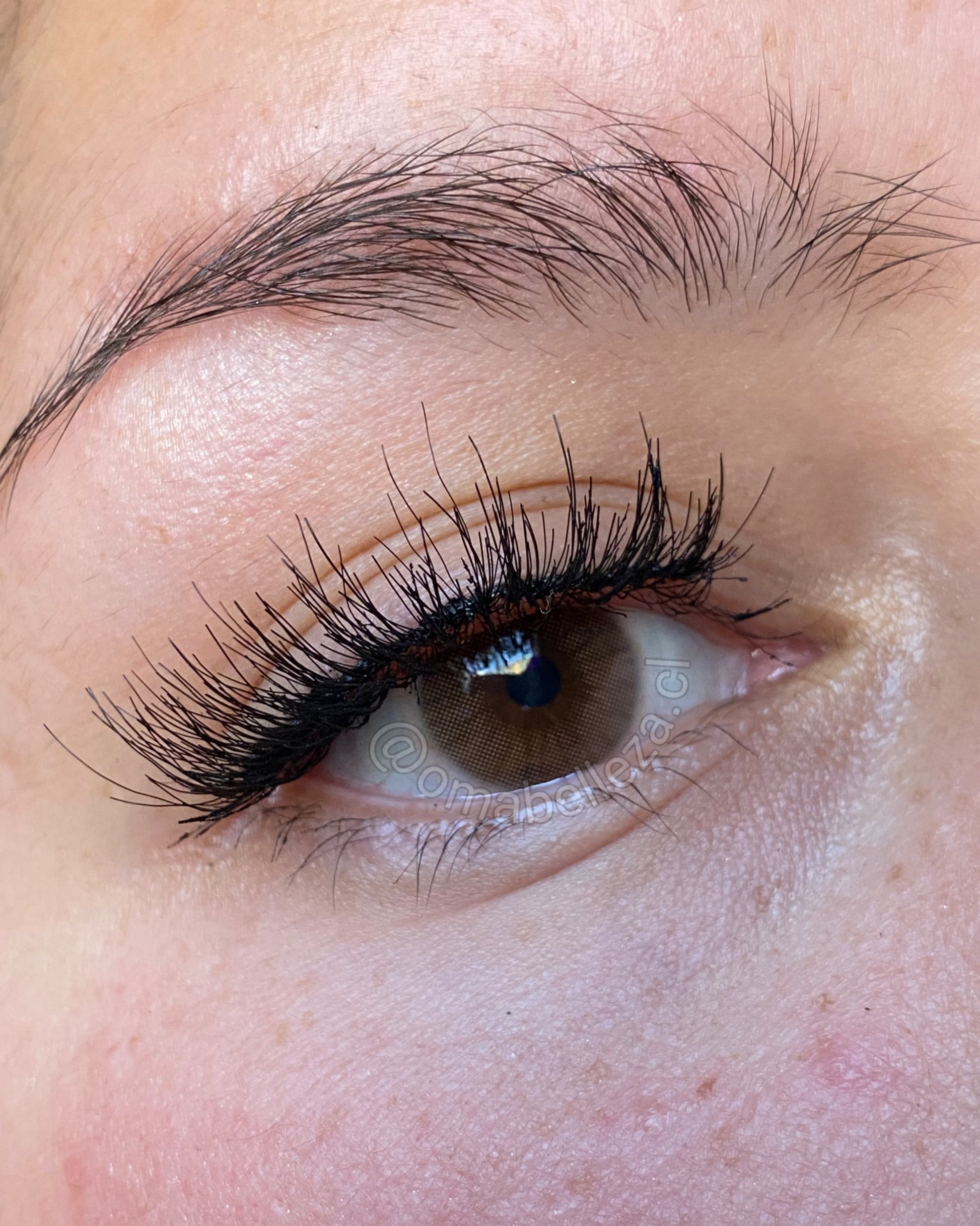 Avela (brown) Freshlady – Oma Belleza