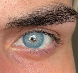 Chelsea Blue- Urban Layer