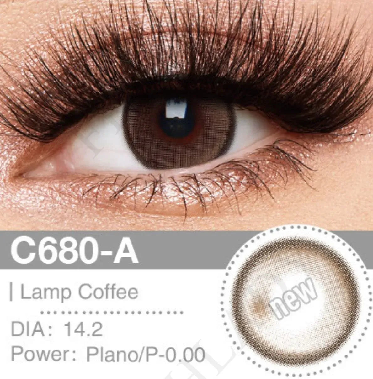 Lamp Coffe - Freshlady